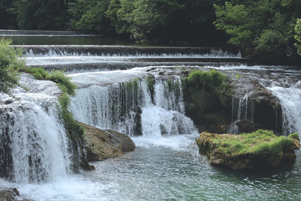Kostelski Buk
